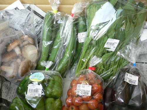 verdure freshissime.JPG